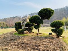 -棒棰岛宾馆景区
