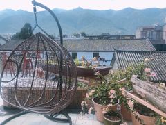 -喵屿·大理花园猫咖