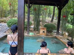 -崇阳三特浪口温泉