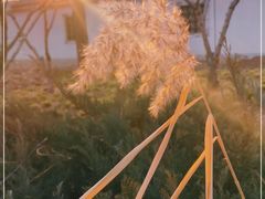 -居然之家·停车场