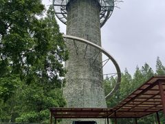 -黄海国家森林公园