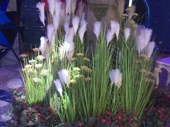 -东方好莱坞(文化路店)