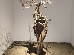 -苏州本色美术馆