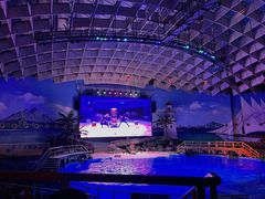 -海合安武汉极地海洋公园