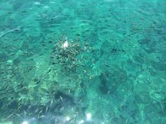 -班拉雅潜水度假村