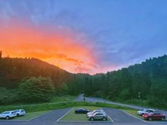-武陵山森林公园