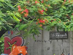 -缘生态云南菜·野生菌庭院餐厅(华侨城店)