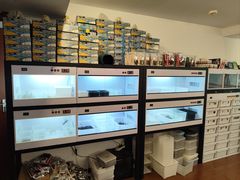 -灵龟之家百象馆(百象馆联合旗舰店)