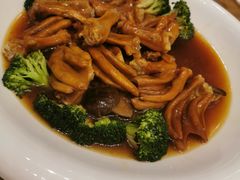 -千灯盛汇·头牌粤菜(致越优城店)