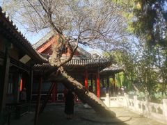-莲池书院博物馆