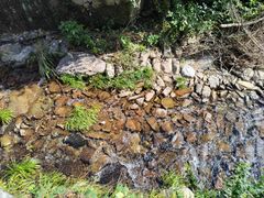 -众神白水涧景区