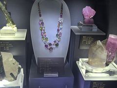 -湖南省地质博物馆