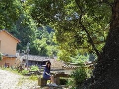 -杨家堂村