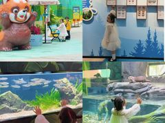 -海合安成都极地海洋公园