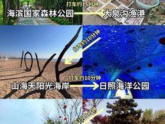 -日照海滨国家森林公园