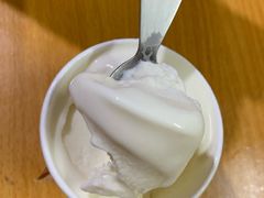 猫山王榴莲雪糕-歎雪糕低糖低脂Gelato冰淇淋