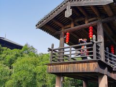 -大唐贡茶院
