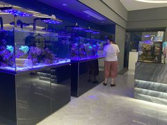 -1013 PET SHOP精品宠物商店(丁香店)