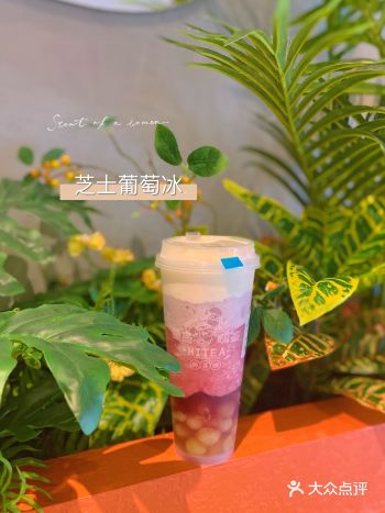 性价比超贵的巨无霸水果茶！好喝！