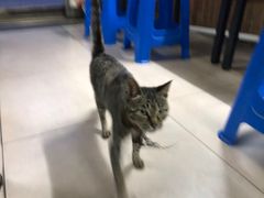 -嵊州特色小吃(萧山街店)