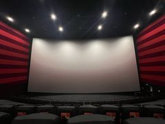 -华谊兄弟影院(IMAX洋桥店)