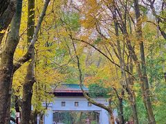 -岳麓山风景名胜区