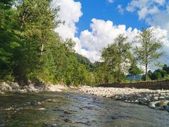 -黑河国家森林公园