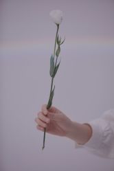 -巴黎春天婚纱摄影STUDIO·定制