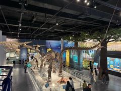 -国家自然博物馆