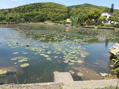 -龙寺生态园