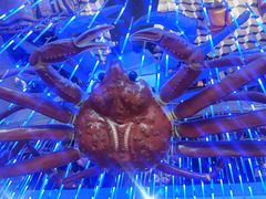 -蟹之国·精品蟹料理(极地店)