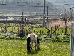 -东钱湖旅游度假区