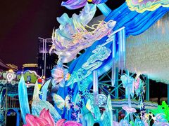 -海合安成都极地海洋公园