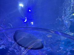 -华夏文旅西安度假区