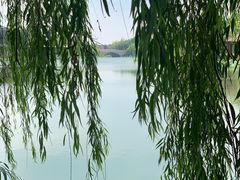 -上海怡沁园度假酒店