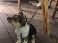 -梁溪河畔·吉府花园(南长街南下塘店)