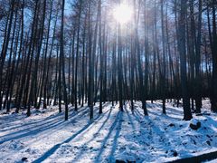 -硗碛藏寨·神木垒景区