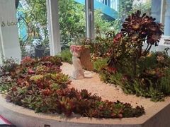 -春树下·树屋花房西餐厅(罍街AS1980店)