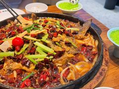 -老板恋上鱼(恒隆广场店)