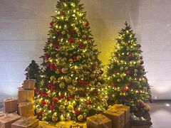 -博林天瑞喜来登酒店·西丽尚膳