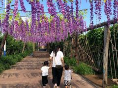 -呀路古热带植物园