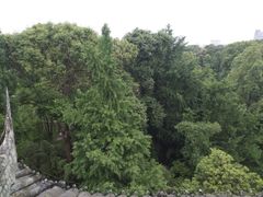 -青城山