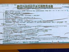 -演武大桥观景平台