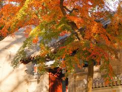 -青岛崂山太清宫