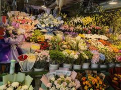 -朝来春花卉市场