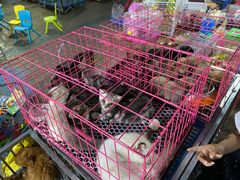 -中北世纪城夜市小吃街CENURY CITY