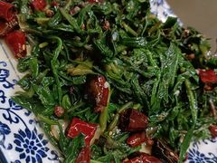 -梁师抿夹王(金阳光店)