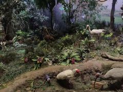 -陕西自然博物馆