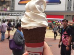 -富豪雪糕车流动点(尖沙咀店)