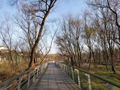-西湖风景区-江洋畈生态公园
